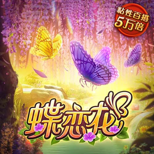 记者：达曼协作考虑前纽卡前锋威尔逊，将等待卢克